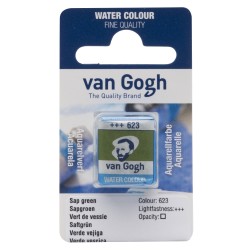 Van Gogh Water Colour - 623 Verde vescica