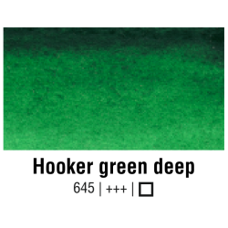 Van Gogh Water Colour - 645 Verde Hooker scuro