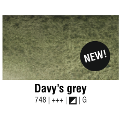 Van Gogh Water Colour - 748 Grigio di Davy