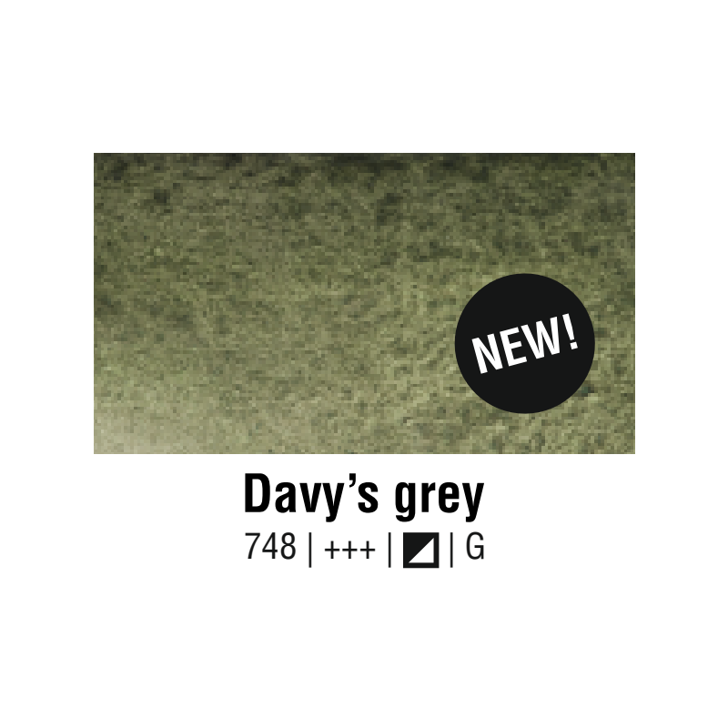 Van Gogh Water Colour - 748 Grigio di Davy