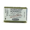 Schmincke HORADAM Aquarell - 525 Verde oliva giallastro