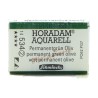 Schmincke HORADAM Aquarell - 534 Verde oliva permanente