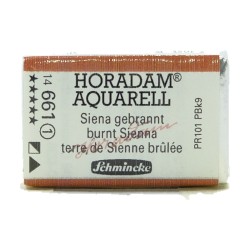 Schmincke HORADAM Aquarell - 661 Terra di Siena bruciata