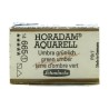 Schmincke HORADAM Aquarell - 665 Terra d'ombra verdastra