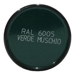 Talken Tinte RAL - 6005 VERDE MUSCHIO - 400 ml