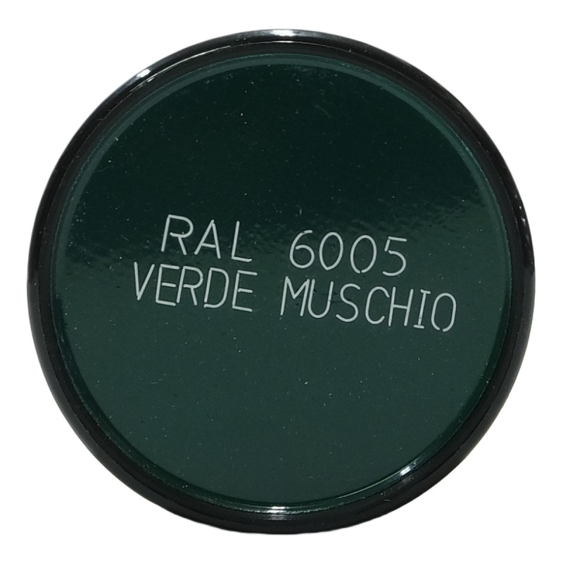 Talken Tinte RAL - 6005 VERDE MUSCHIO - 400 ml