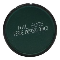 Talken Tinte RAL - RAL 6005OP VERDE MUSCHIO OPACO - 400 ml