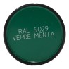 Talken Tinte RAL - 6029 VERDE MENTA - 400 ml