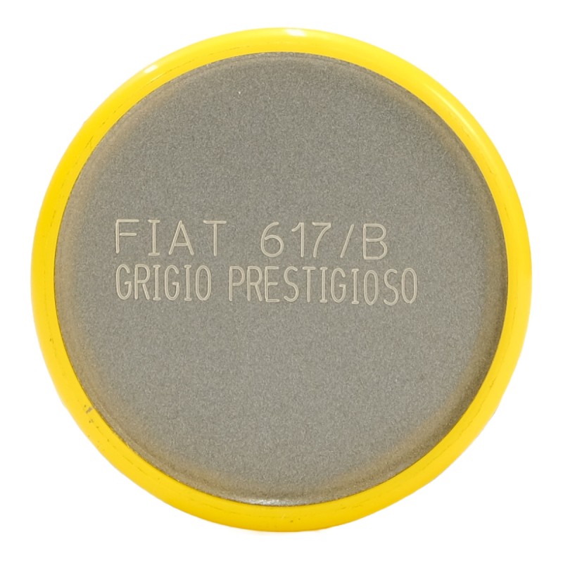 Talken Tinte Auto - Fiat 617/B Grigio Prestigioso - 200 ml