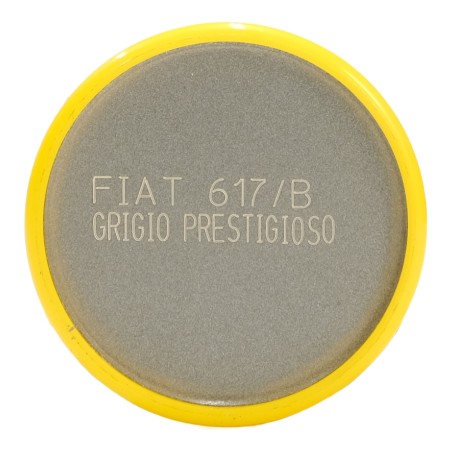 Talken Tinte Auto - Fiat 617/B Grigio Prestigioso - 200 ml