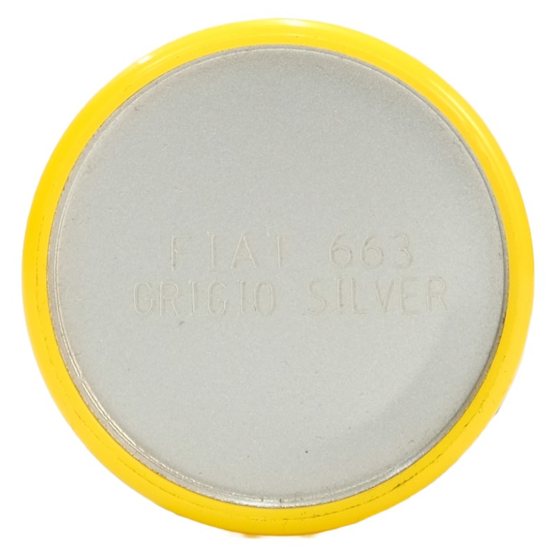 Talken Tinte Auto - Fiat 663 Grigio Silver - 200 ml