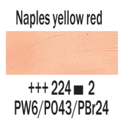 Rembrandt Olio - 224 Giallo napoli ross.