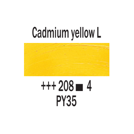 Rembrandt Olio - 208 Giallo cadmio ch.