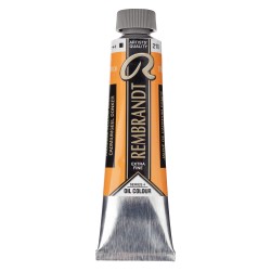 Rembrandt Olio - 210 Giallo cadmio sc.