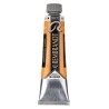 Rembrandt Olio - 210 Giallo cadmio sc.