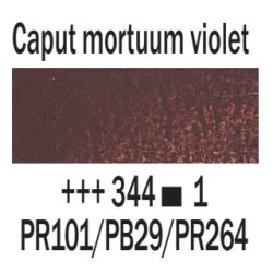 Rembrandt Olio - 344 Caput mortuum