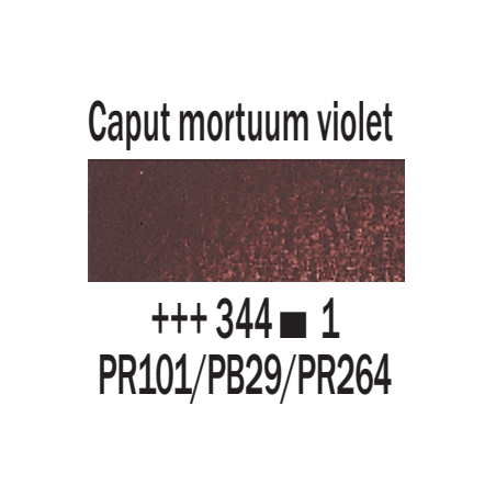 Rembrandt Olio - 344 Caput mortuum