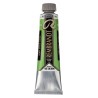 Rembrandt Olio - 614 Verde perm.med.