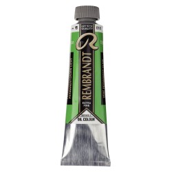 Rembrandt Olio - 618 Verde perm.ch.