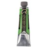 Rembrandt Olio - 618 Verde perm.ch.