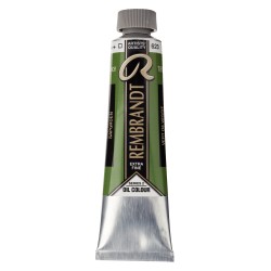 Rembrandt Olio - 623 Verde vescica