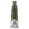 Rembrandt Olio - 623 Verde vescica