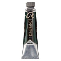 Rembrandt Olio - 629 Terra verde
