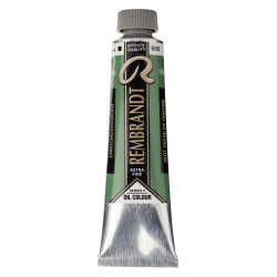 Rembrandt Olio - 668 Verde ossido cr.